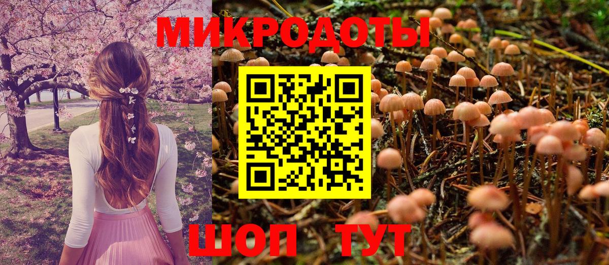 Псилоцибиновые грибы мицелий Лабинск